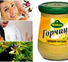 15 Незвичайних способів застосування гірчиці в господарстві