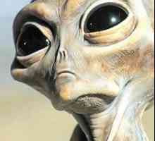 Діряві seti