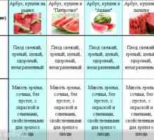 Експертиза кавуна
