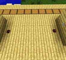 Як використовувати гак в minecraft
