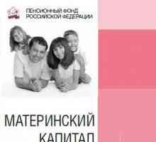 Як отримати материнський капітал