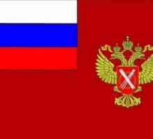 Як влаштована державна служба кадастру і картографії