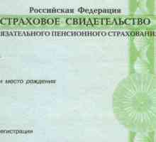 Як дізнатися номер свідоцтва пенсійного страхування