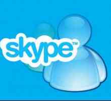 Як дізнатися свій номер в skype