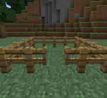 Як в грі minecraft зробити ворота?