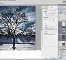 Програми для стиснення фотографій