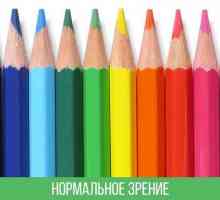 Ви будете здивовані, як люди з дальтонізм бачать світ