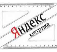 Навіщо потрібні лічильники на сайтах