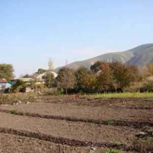 Як оформити дарчу на земельну ділянку