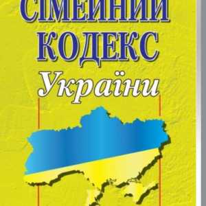 Як подати на аліменти в україні