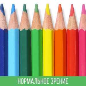 Ви будете здивовані, як люди з дальтонізм бачать світ